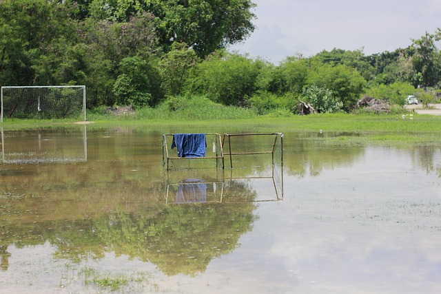 球员的天赋 球员的天赋