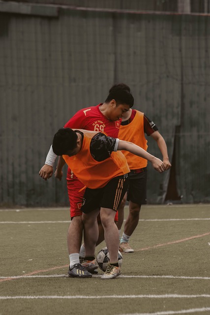 国内篮球迷