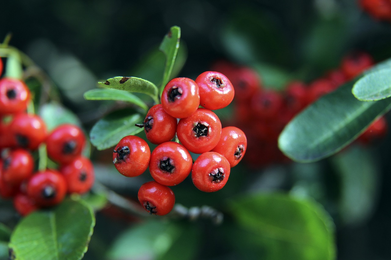 引起了广泛 引起了广泛