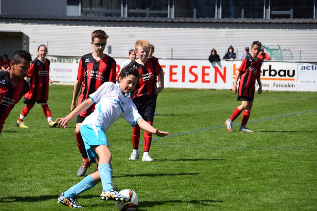 重要作用 重要作用