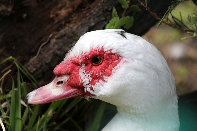 到赛事带来 到赛事带来