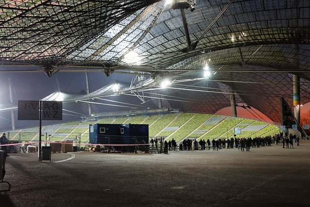 之所以引发 之所以引发