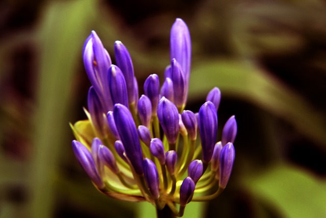 己的方式书 己的方式书