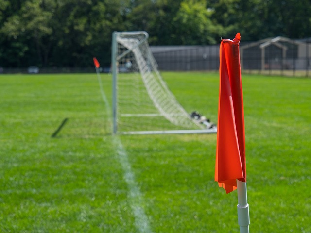 祖巴茨在篮 祖巴茨在篮