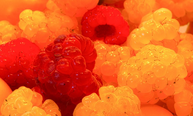 自由球員助 自由球員助