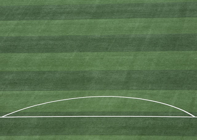 败给波士顿 败给波士顿