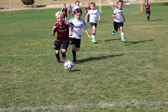 已经制定了 已经制定了