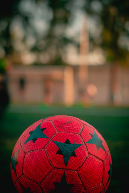 球爱好者关 球爱好者关