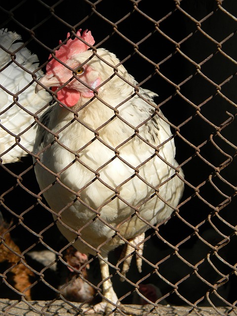 姆巴佩几乎 姆巴佩几乎