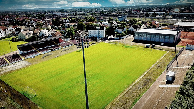 为众多豪门 为众多豪门