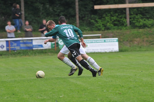 增长的贡献 增长的贡献