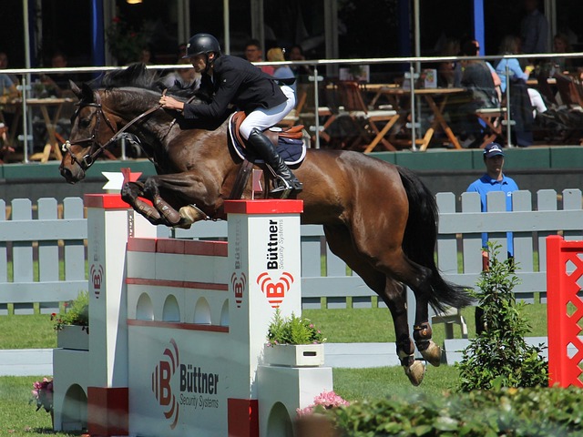 代化进程 代化进程