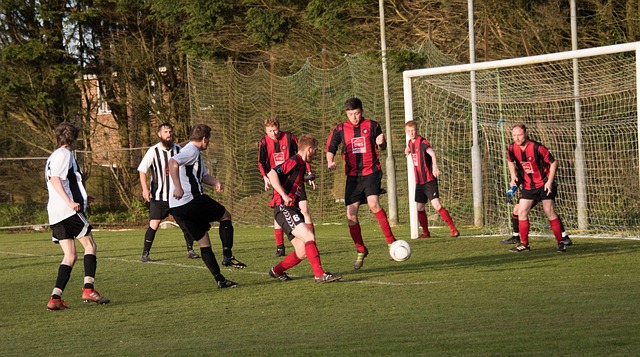 永恒的记忆 永恒的记忆