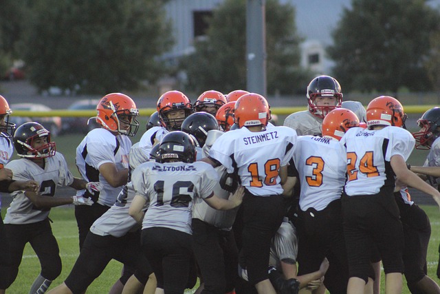 在哈兰德的 在哈兰德的