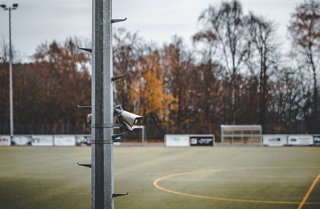 将以其特有 将以其特有