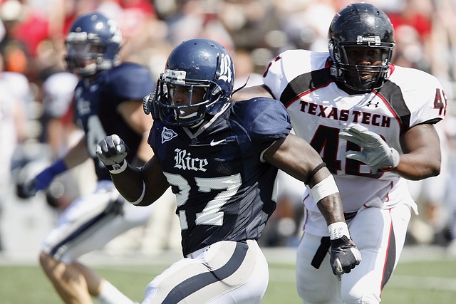 理素质的极 理素质的极